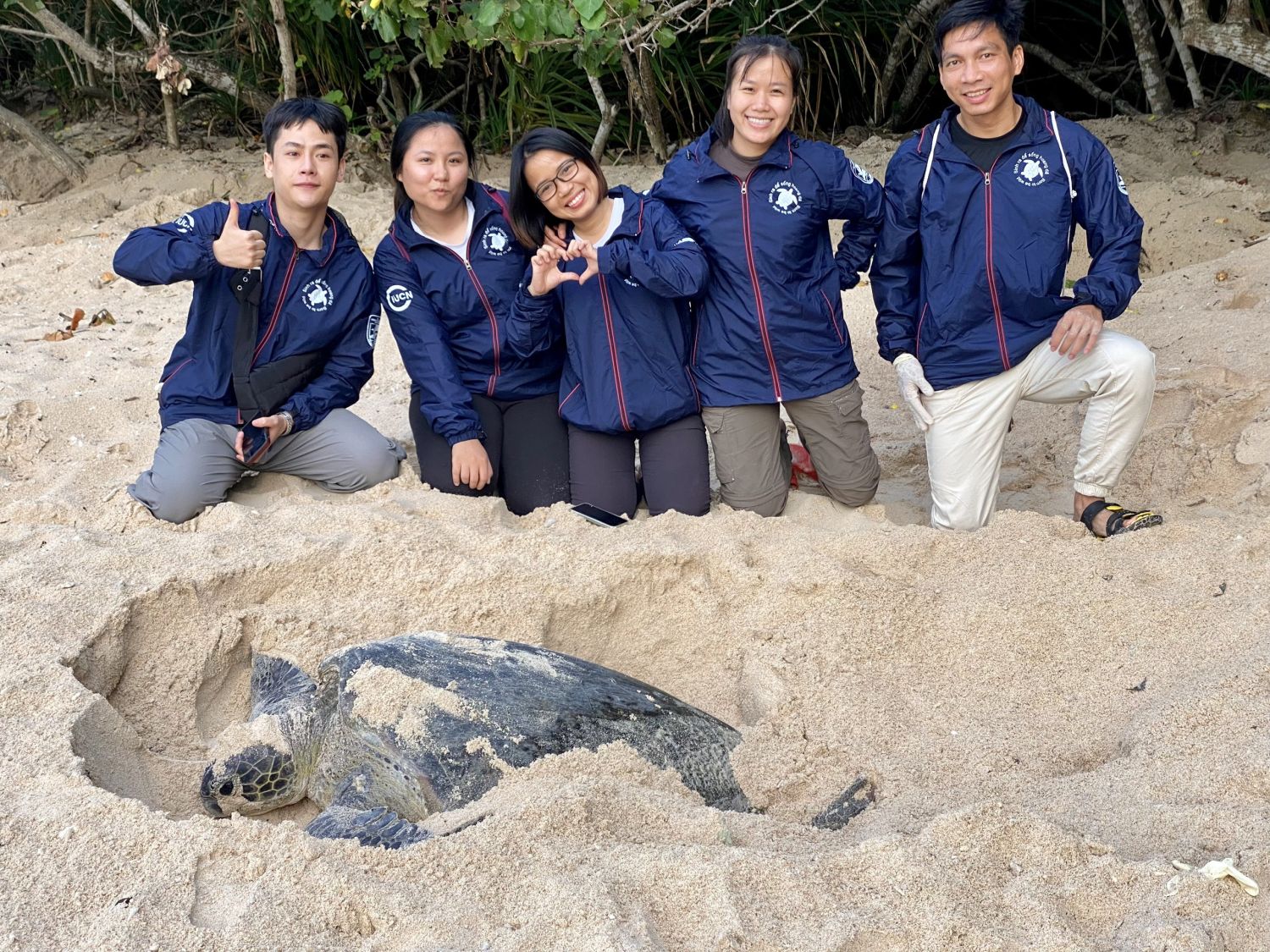 Sea turtles volunteers in Con Dao National Park, Viet Nam