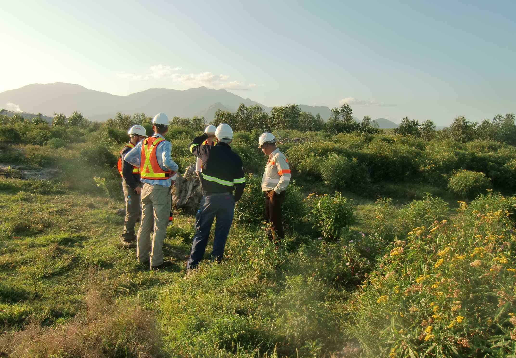 IUCN staff field work