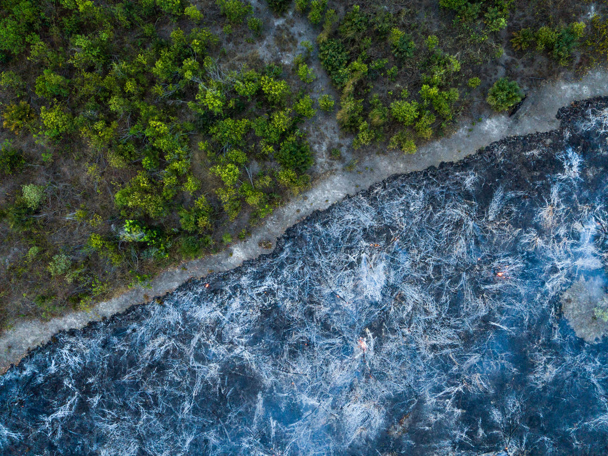 Aerial view of burn forest next to standing forest in Brazil