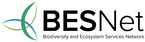 BESNET logo
