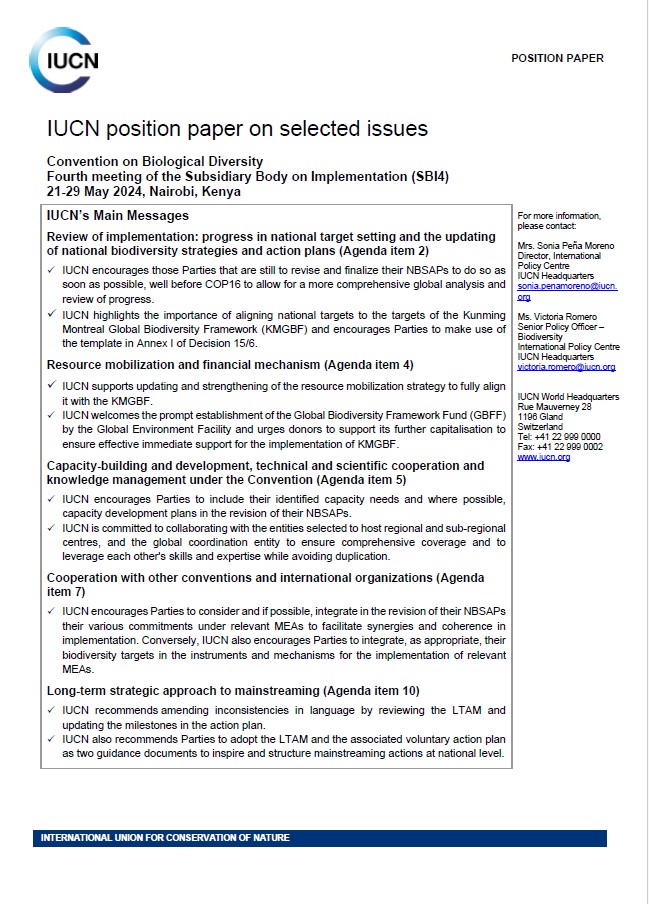 IUCN position paper CBD SBI4 thumbnail