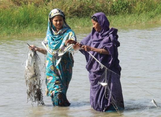 Women in the Sundarbans demonstrating that being involved in aquaculture business – usually dominated by men -  is possible.