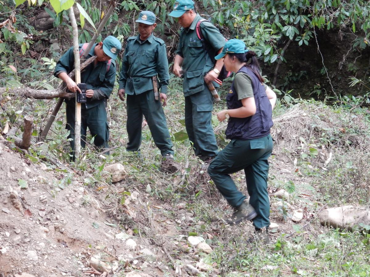 Foresters of Royal Manas National Park Setting-up a Camera Trap