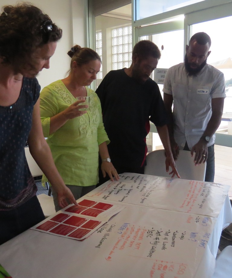 Group work on gap analysis of the portfolio in Vanuatu