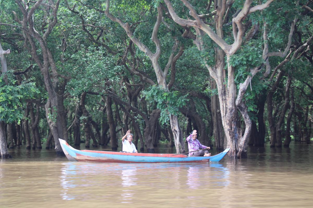Flooded forest is life for Kampong Phluk community fisheries © IUCN Cambodia