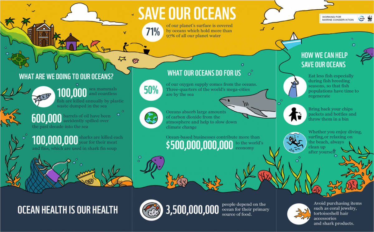 Infographics were designed to inform tourists of the need to protect the oceans