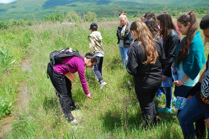 Students learning about plants that can be seen in wet meadows in Ezerani Nature Park