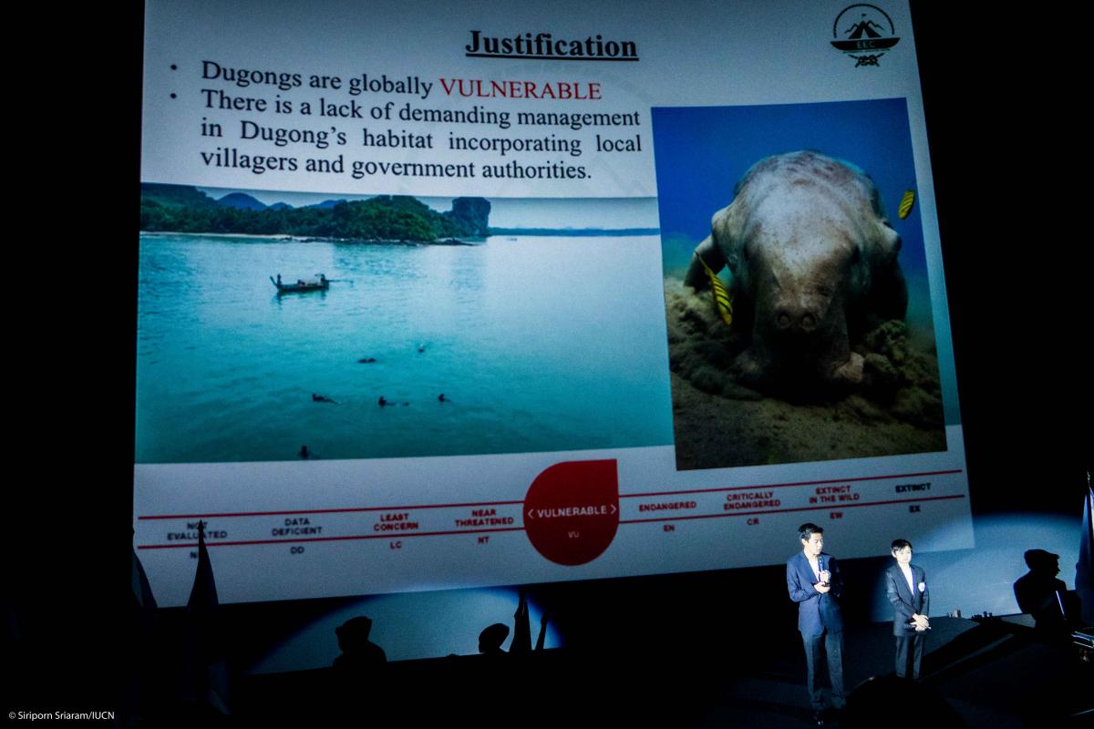 Dugon is listed as endangered species