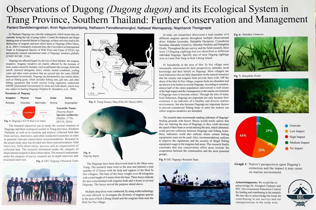 Dugong poster by EEC Thailand