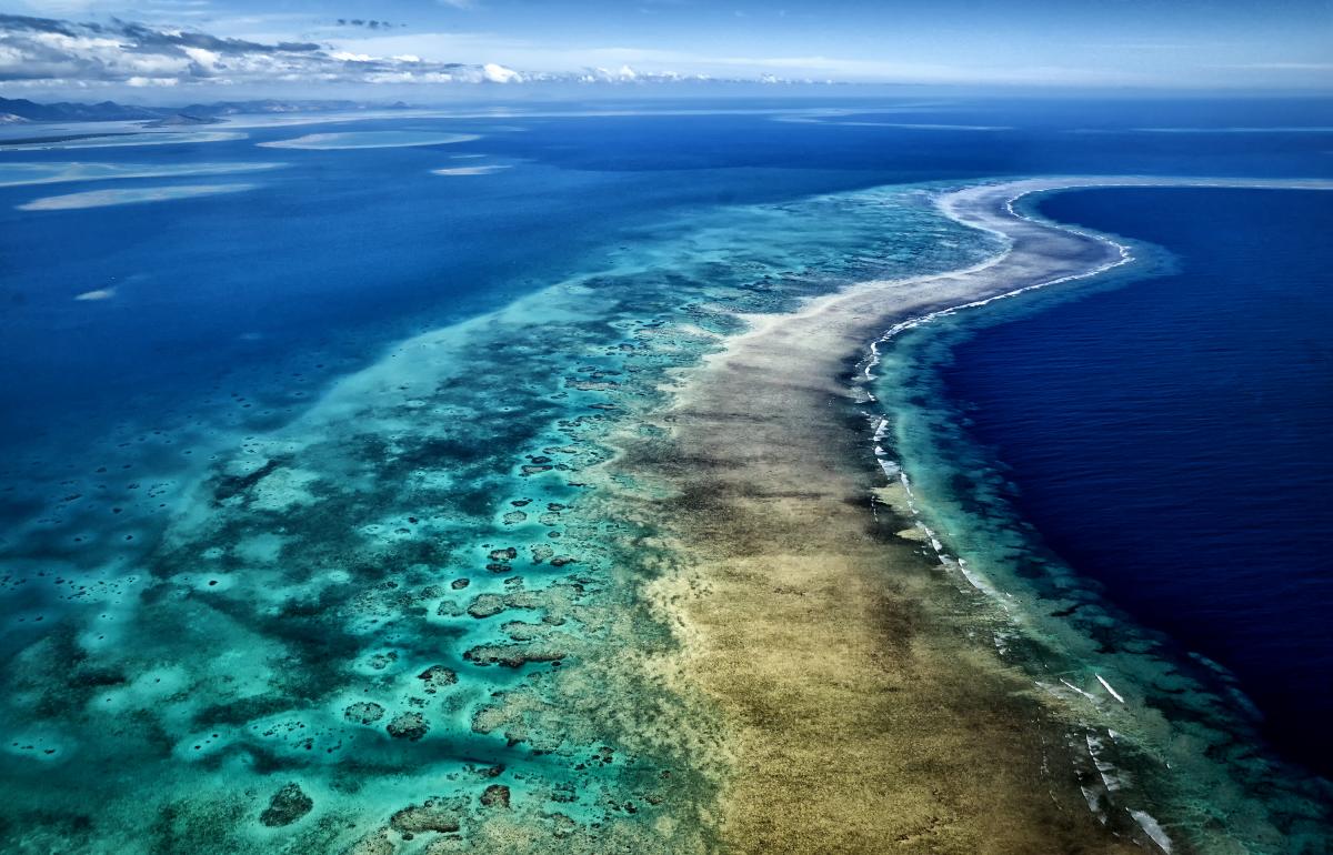 Cakaulevu Reef, Fiji (P.C Stuart Chape)