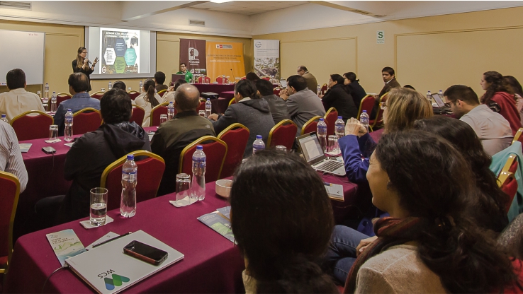 Governance workshop Lima, 2018