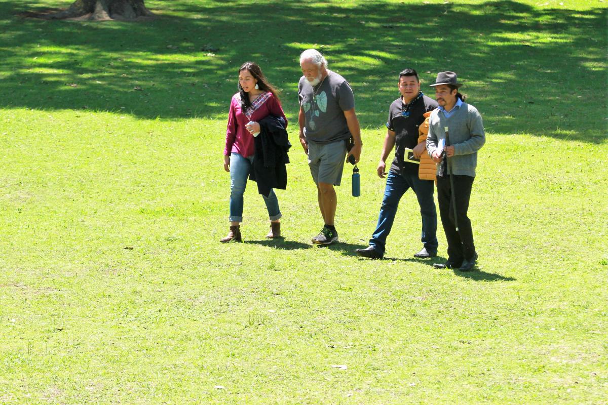 four people walking and talking in grass