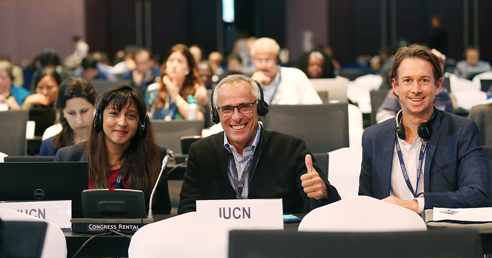 Natasha Ali, Trevor Sandwith, and Harry Jonas, IUCN at the 2018 UN Biodiversity Conference