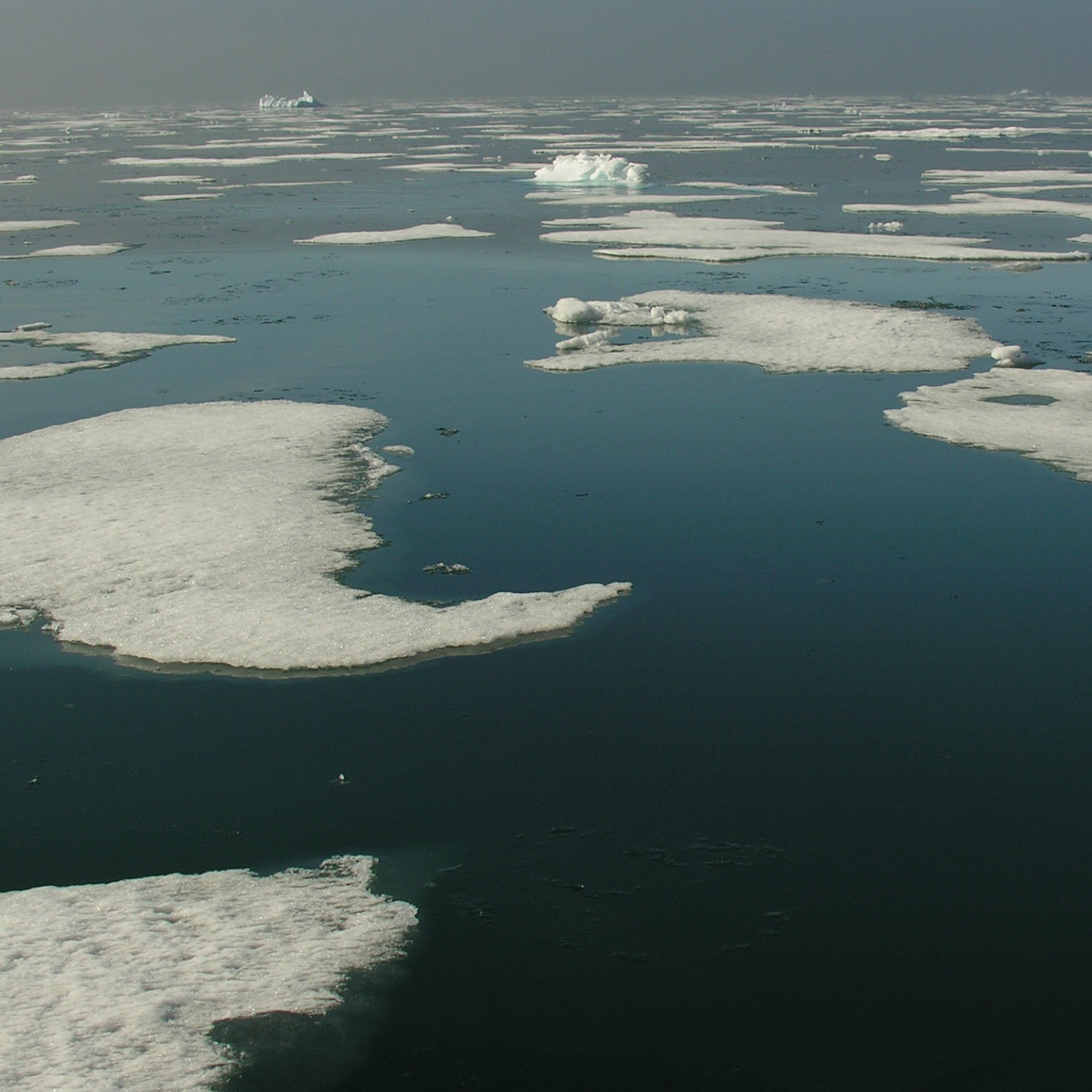 The Arctic is already a sink for microplastics transported from distant sources