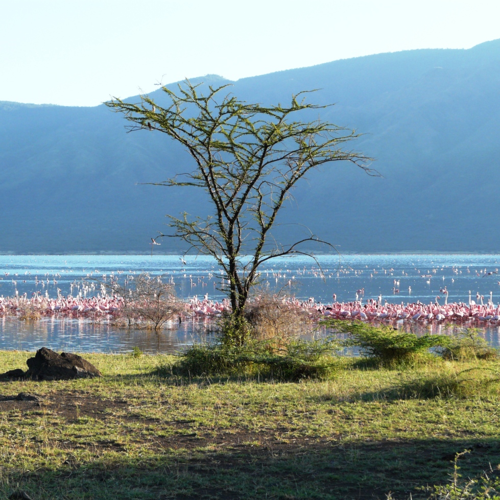 Lake Bogoria landscape