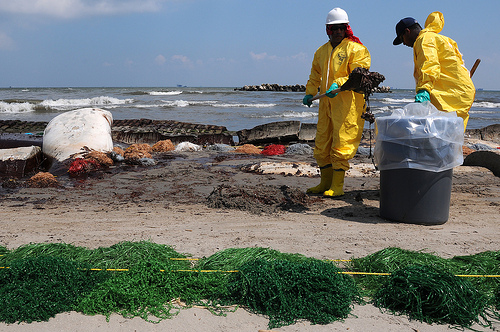Louisiana shoreline clean up