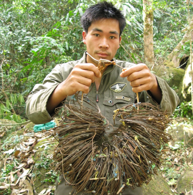 Patrol team with wire snares collected in saola habitat, central Laos (Nakai-Nam Theun National Protected Area), 2009.