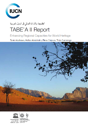 TABE'A II Report