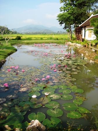 The Mekong basin is one of the richest regions of biodiversity in the world