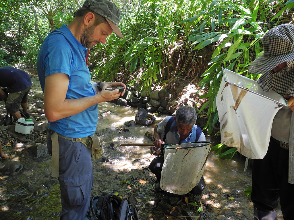 One of the co-authors collecting a new species of freshwater shrimp in Taiwan