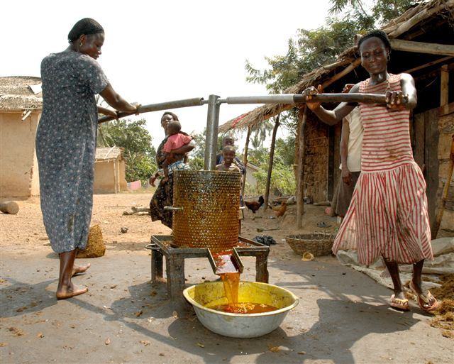 Women pressing palm oil, Ghana
