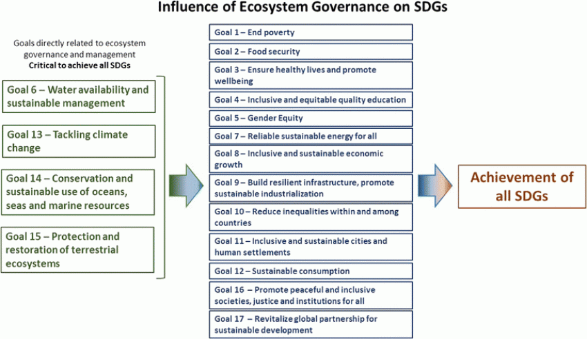 How can ecosystem governance contribute to SDGs?