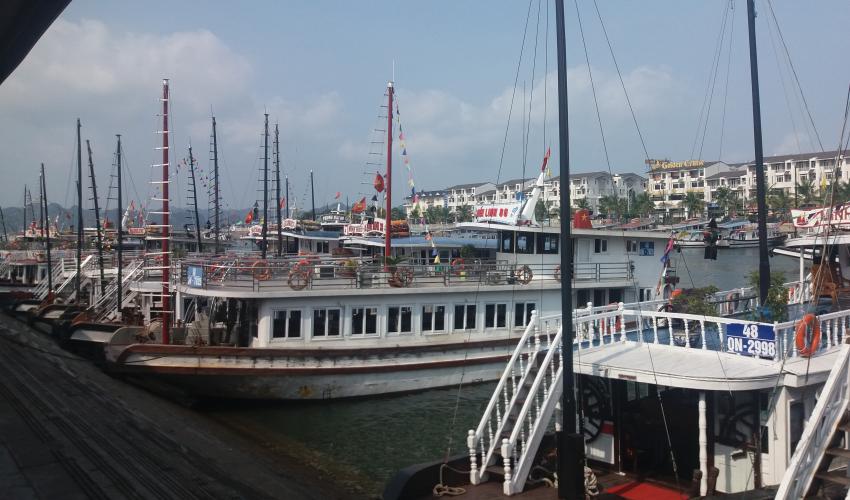 Many tourist boats at Tuan Chau pier are waiting for tourists to visit Ha Long Bay