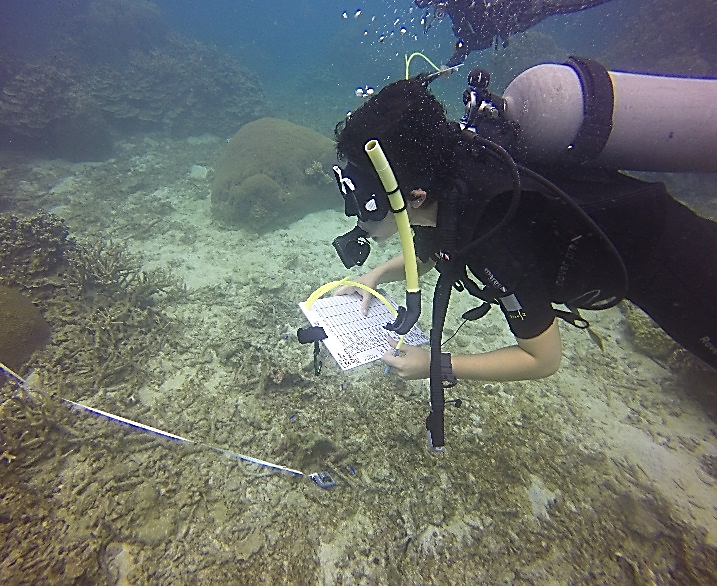 A diver records information underwater
