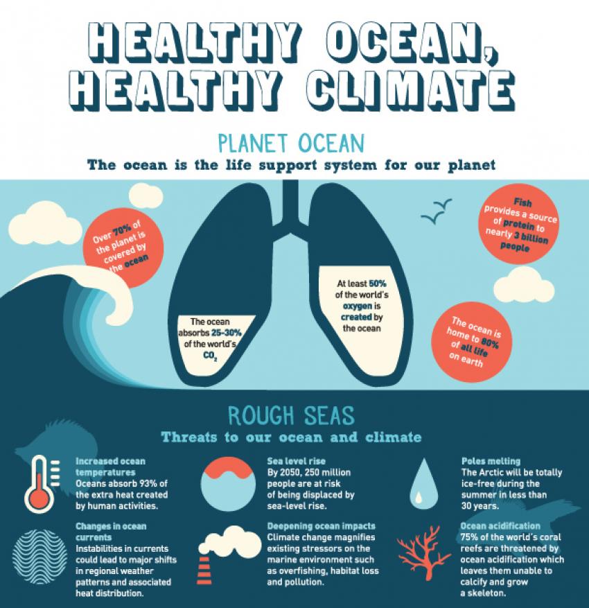 Healthy Ocean, Healthy Climate