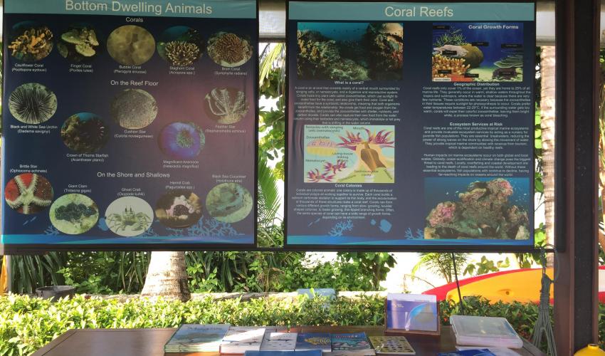 Posters and books inside the Reef Center provide ecosystem information to guests