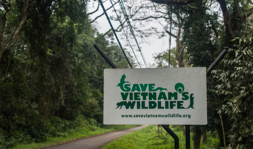 A sign beside a forested dirt road displays Save Vietnam's Wildlife logo and website address