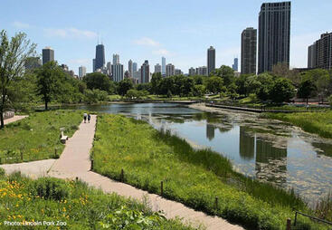 topic-nbs-cities-nature_boardwalk_at_lincoln_park_zoo_c_lincoln_park_zoo.jpg
