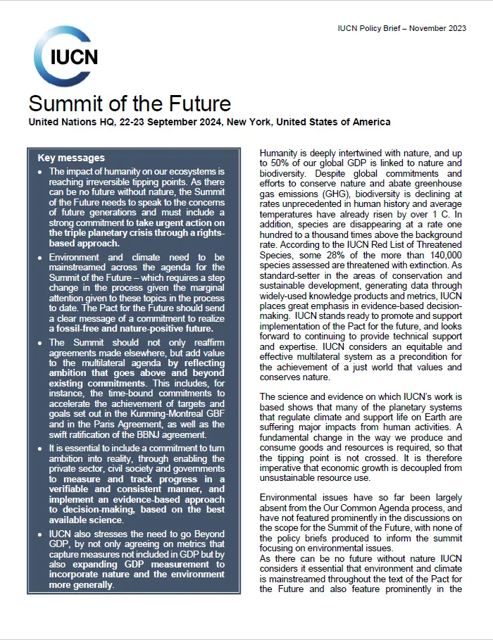 Summit of the Future Policy Brief - thumbnail cover