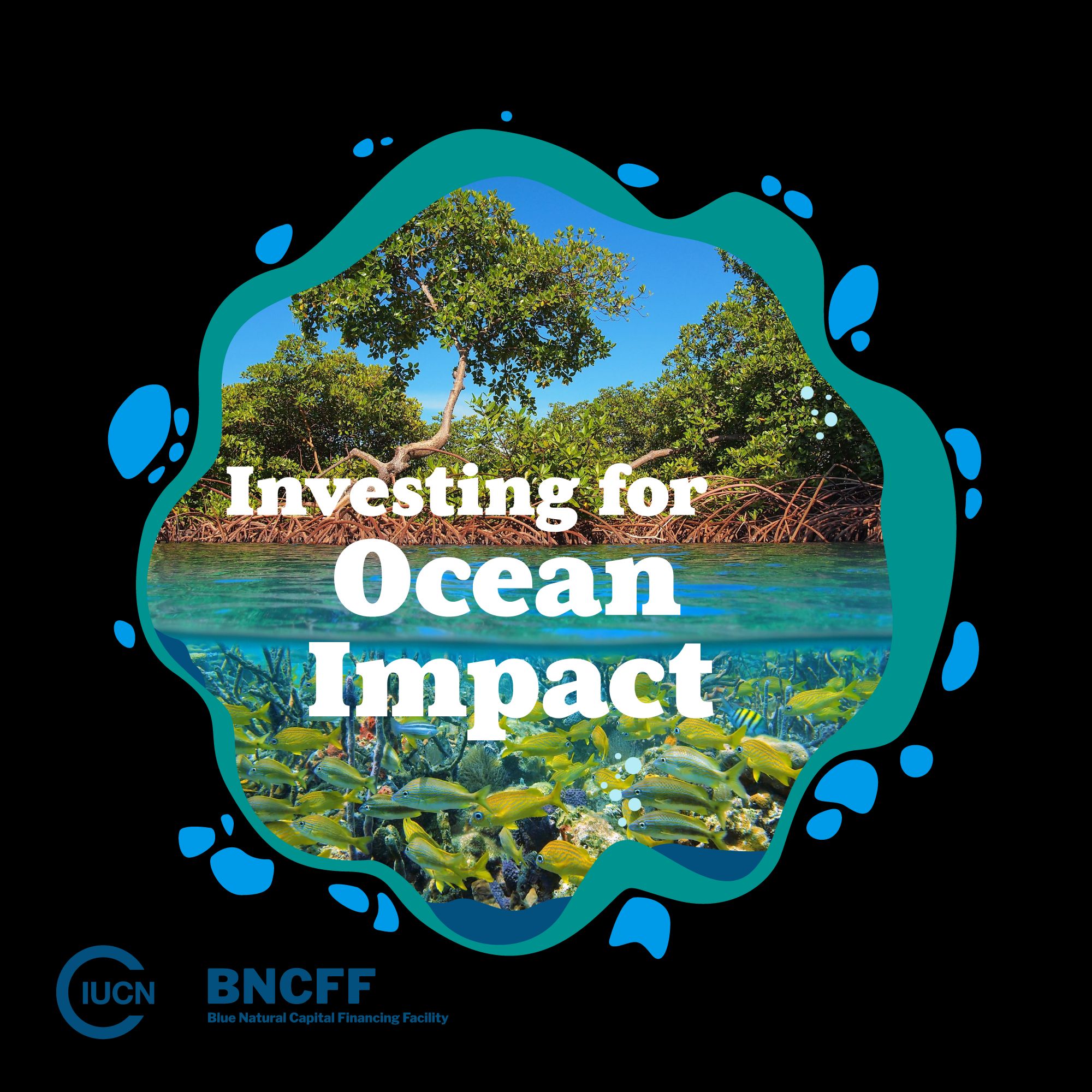 Sustainable financing - resource | IUCN