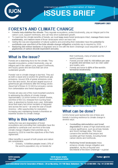 hver dag Logisk stege Forests and climate change - resource | IUCN