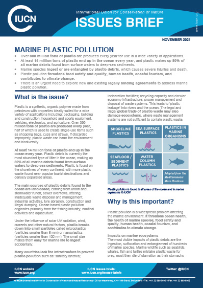 marine pollution research topics