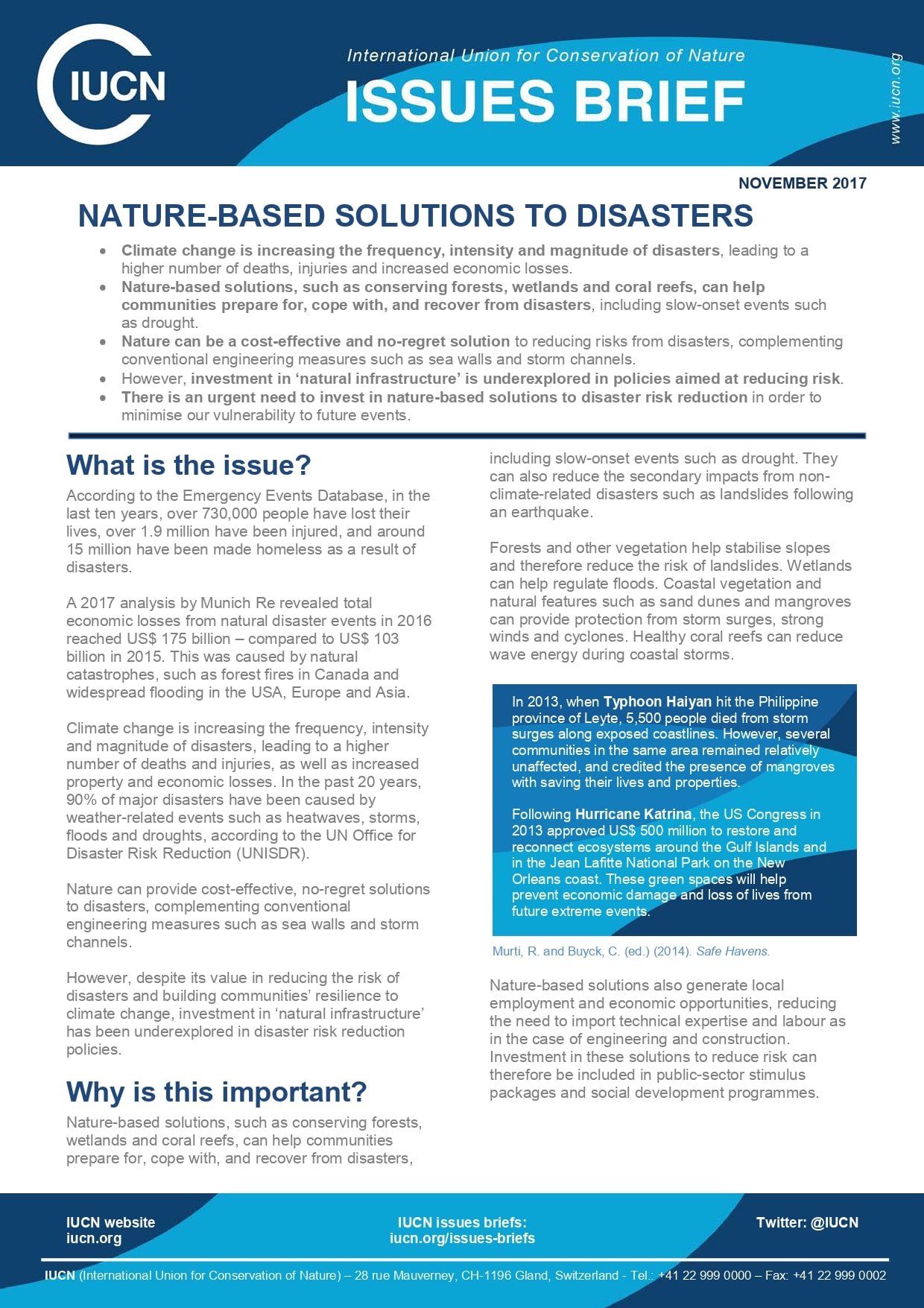 problem solution essay about natural disasters