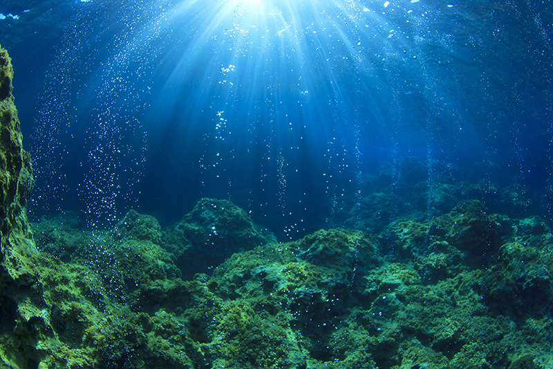 Ocean acidification banner
