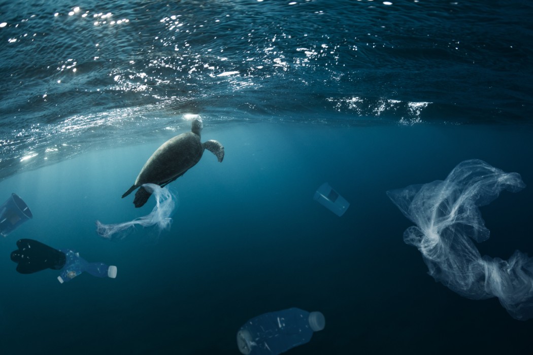 opinion essay about plastic pollution