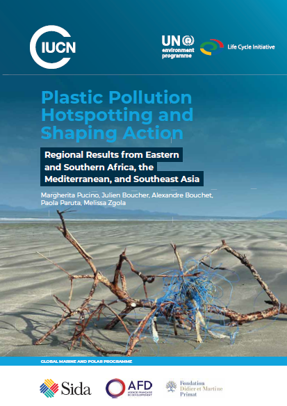 Plastic Pollution Hotspotting and Shaping Action Regional Results from Eastern and Southern Africa, the Mediterranean, and Southeast Asia