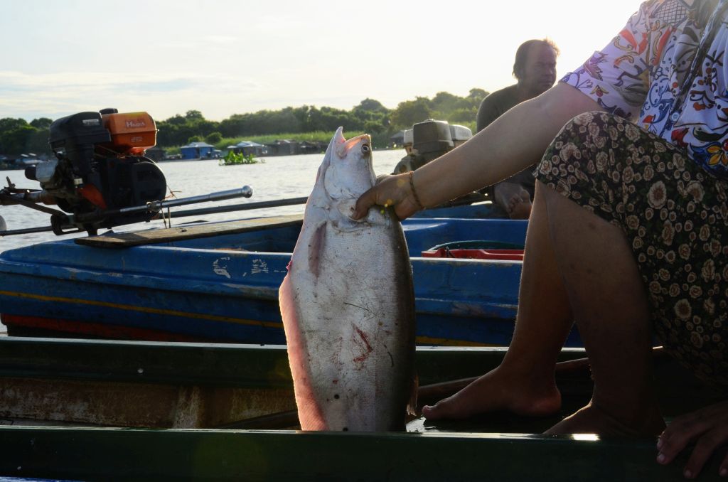 Fish caught by local community at Tonle Sap Lake. © IUCN/Noor Ali 