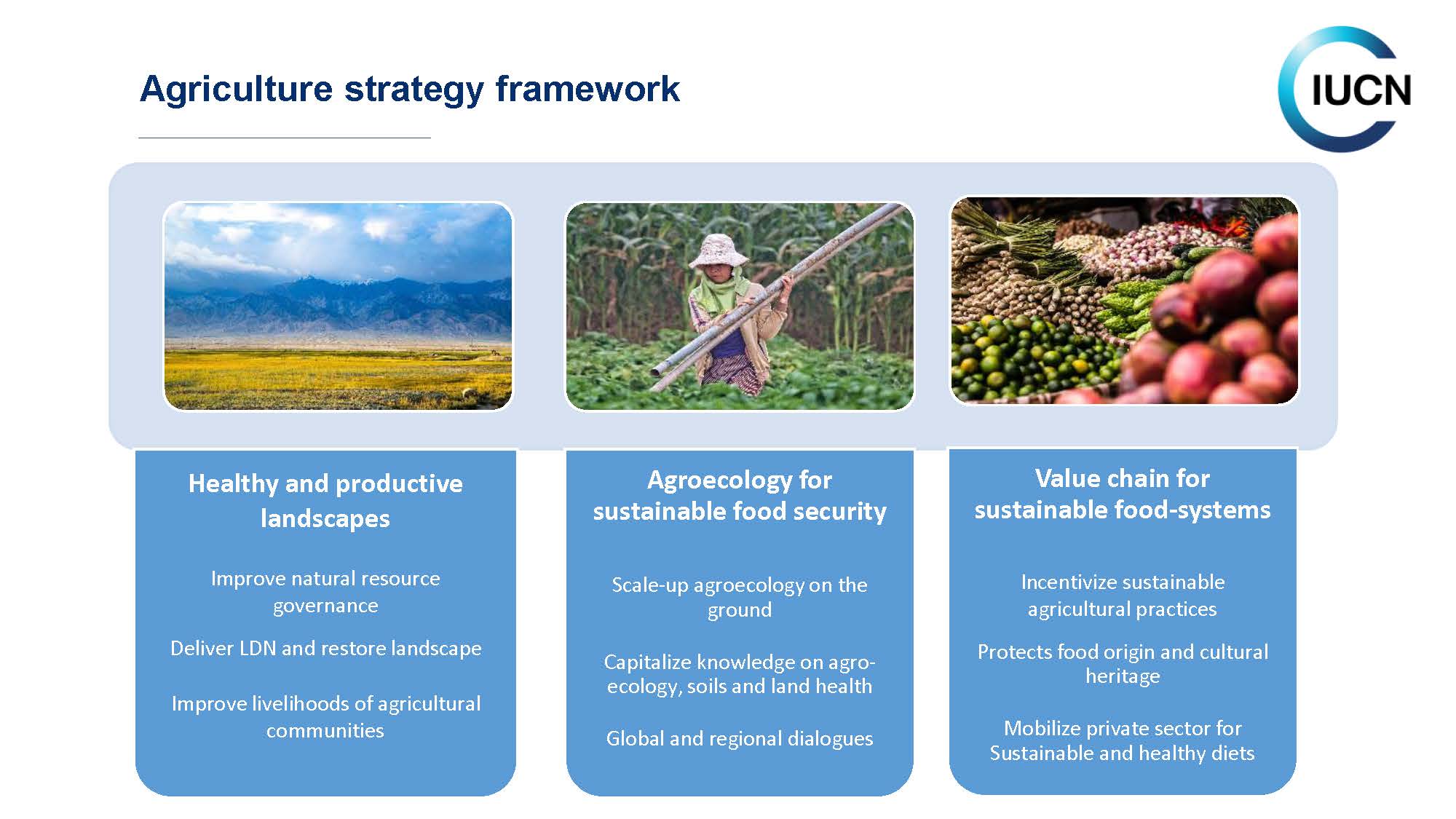 IUCN Agriculture Strategy Framework