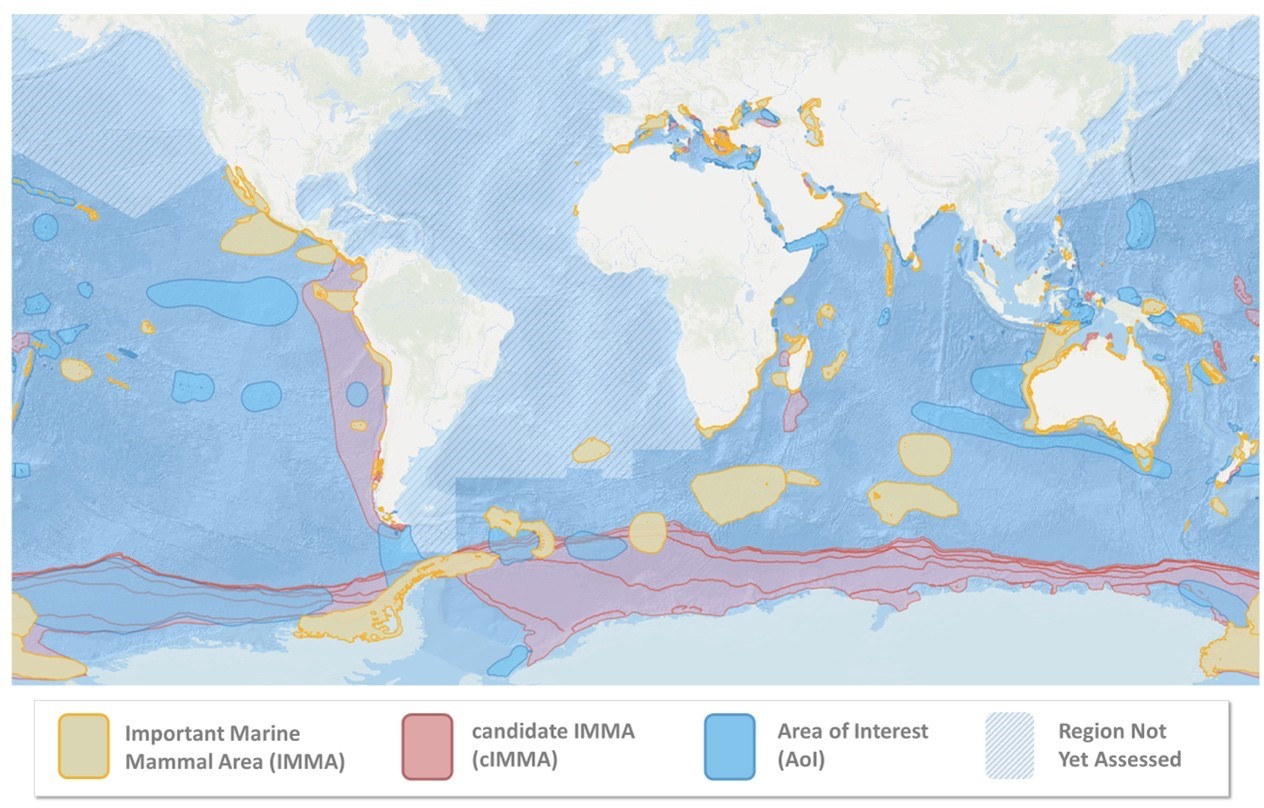Map of the ocean showing the 209 Important Marine Mammal Areas (IMMAs)