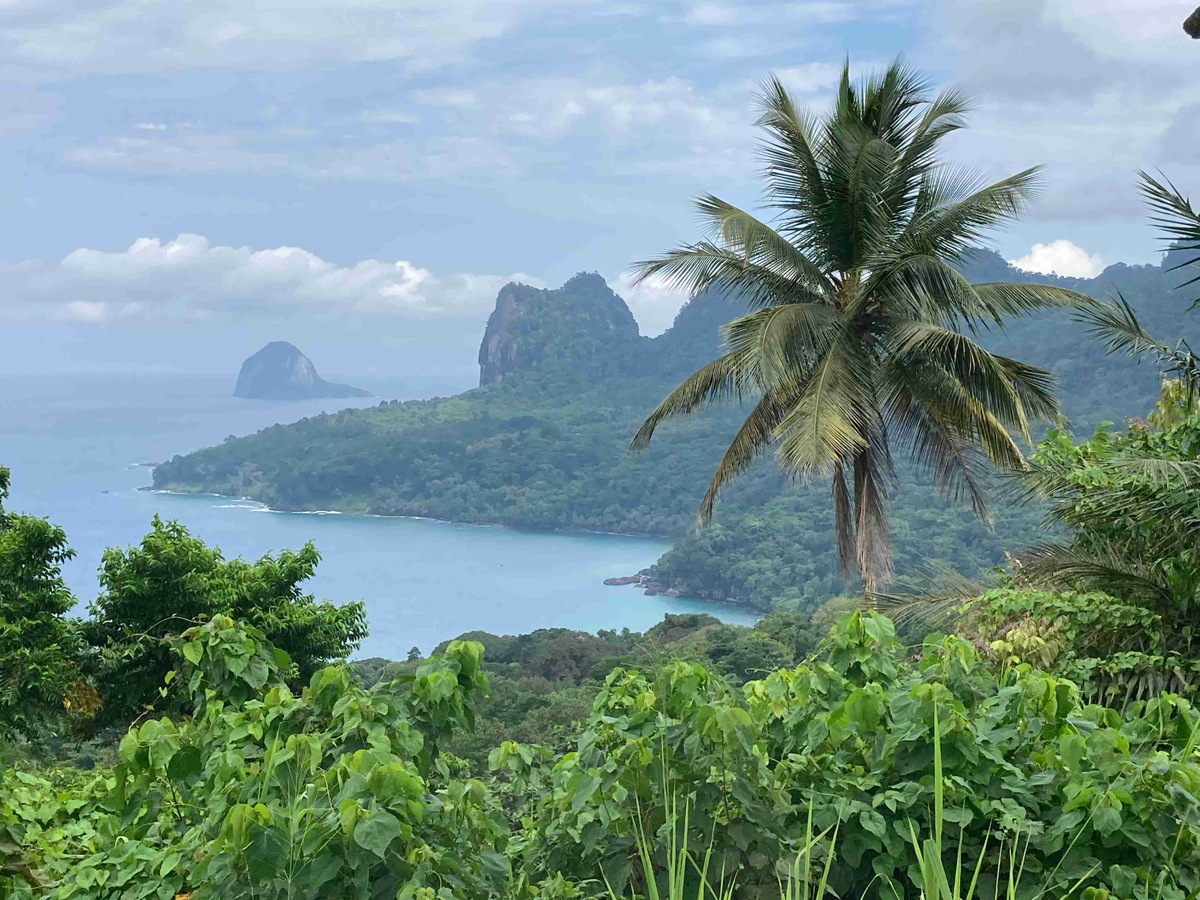The Restoration Initiative: A Sao Tome and Principe story | IUCN