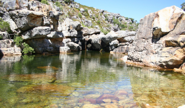 The Wit River (White River) of Bainskloof Pass, near Wellington, South Africa; home to a remarkably high number of aquatic macroinvertebrates found nowhere else in the world.