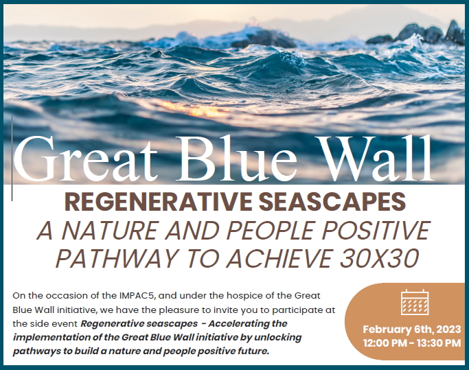 IMPAC5 Great Blue Wall Event flyer