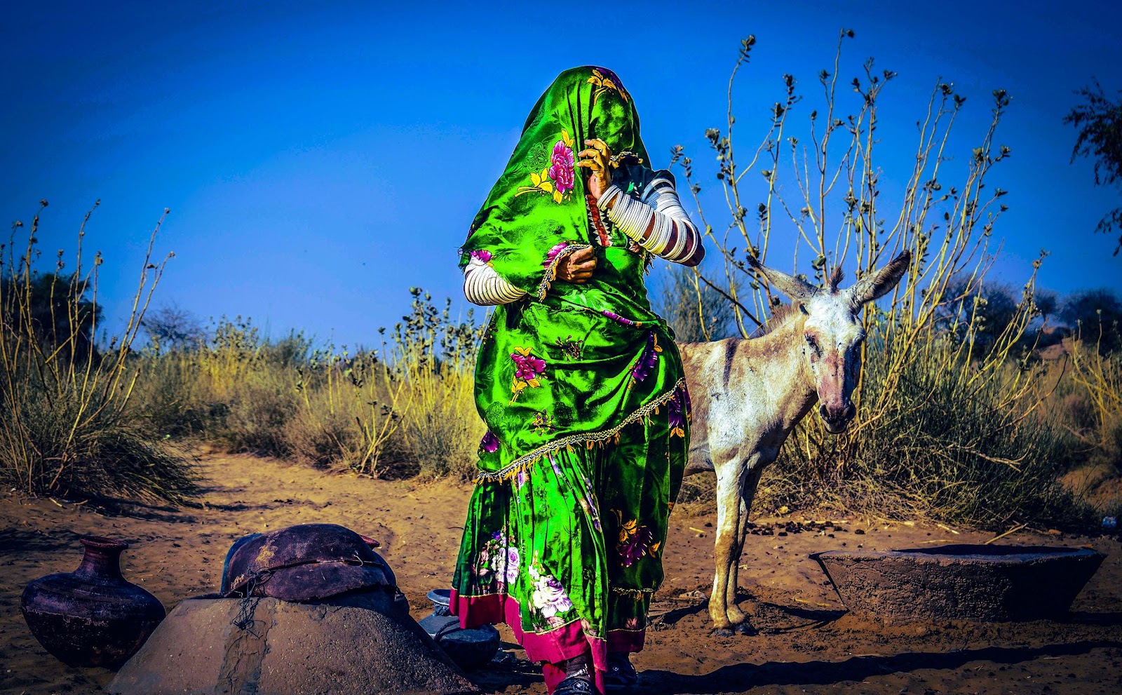 woman standing in front of a donkey