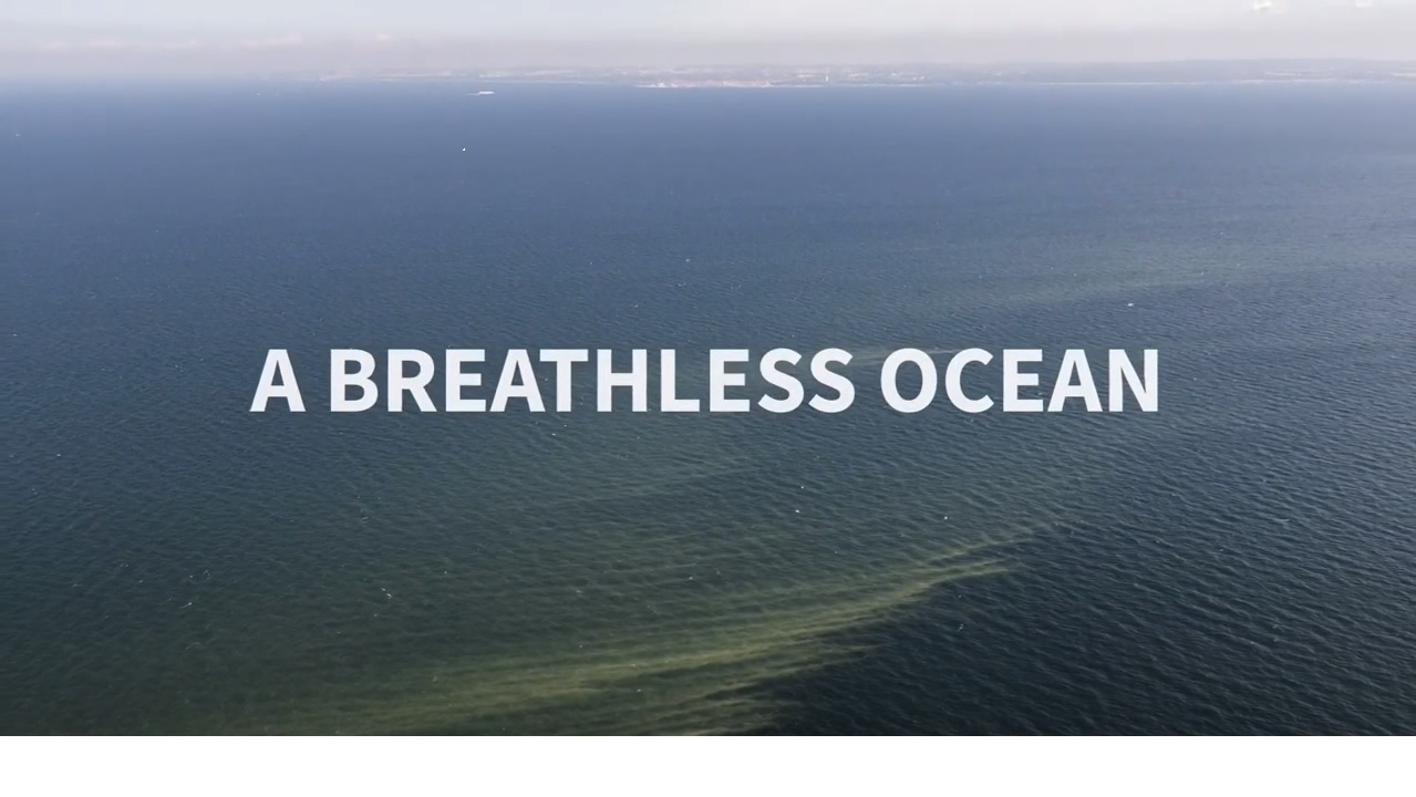IUCN film on ocean deoxygenation