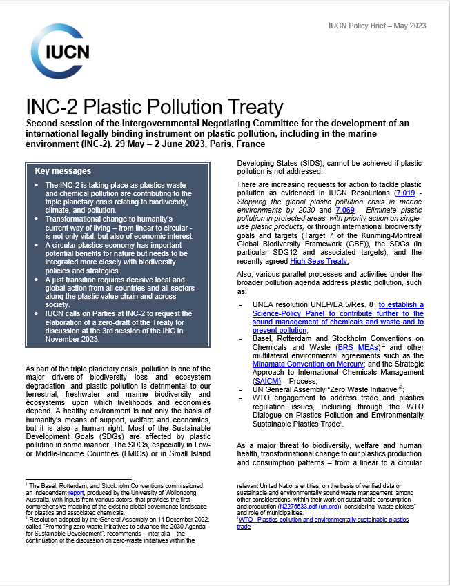 INC-2 Plastic Pollution Treaty Policy Brief - thumbnail
