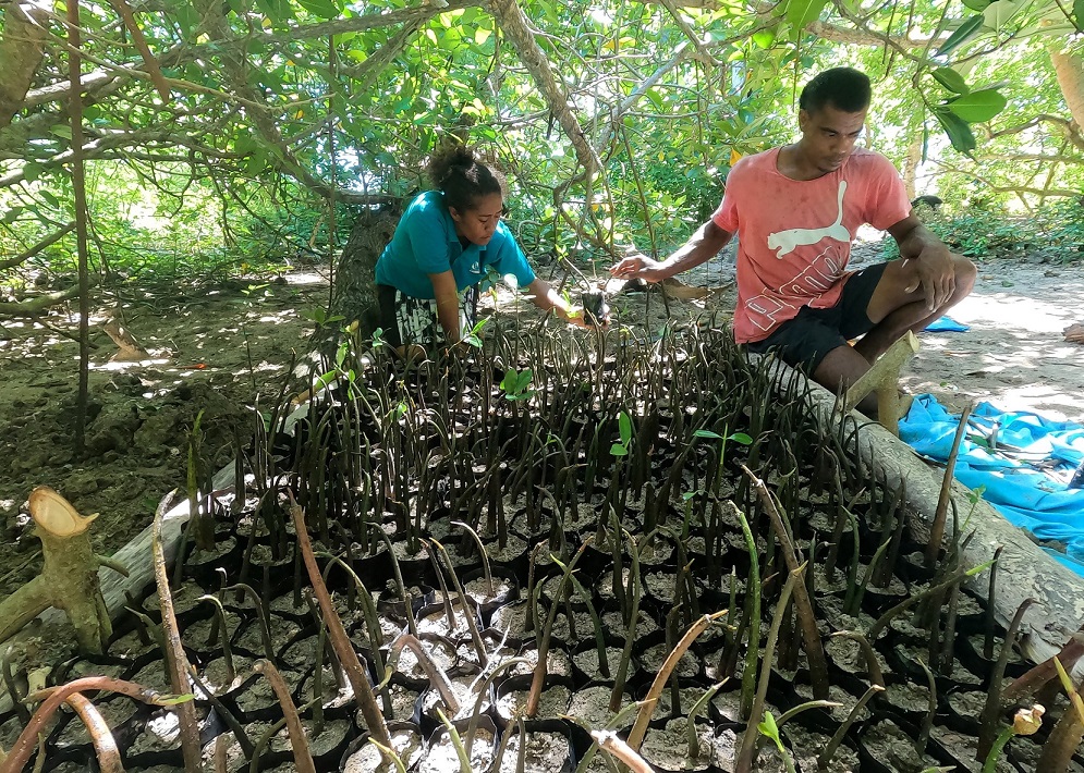 local-communities-protecting-mangroves